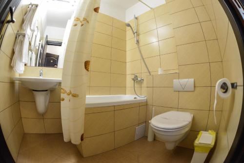 ルムニク・ヴルチャにあるHotel Posadaの小さなバスルーム(トイレ、シンク付)