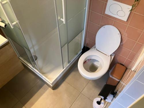 a bathroom with a toilet and a glass shower at B en B Op Steendam, Tuinkamer onder de appelboom in Steendam