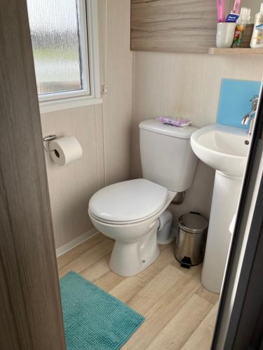 a small bathroom with a toilet and a sink at Miss Grace Plot 26 in Ingoldmells