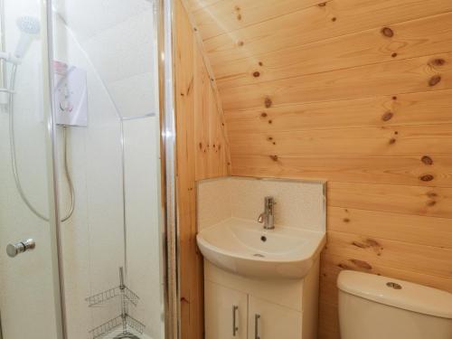 a bathroom with a toilet and a sink and a shower at The Poddy in Swindon