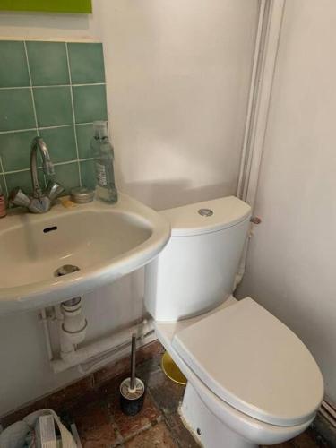 une salle de bain avec des toilettes blanches et un lavabo dans l'établissement Cosy studio Bastille, à Paris