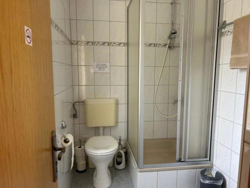 a small bathroom with a toilet and a shower at Ferienwohnung Falkeneck in Lautertal