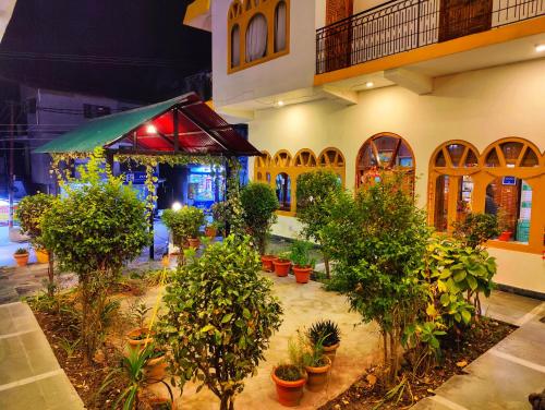 un bâtiment avec une bande de plantes en pot dans une cour dans l'établissement Hotel Surya International - Manali, à Manali
