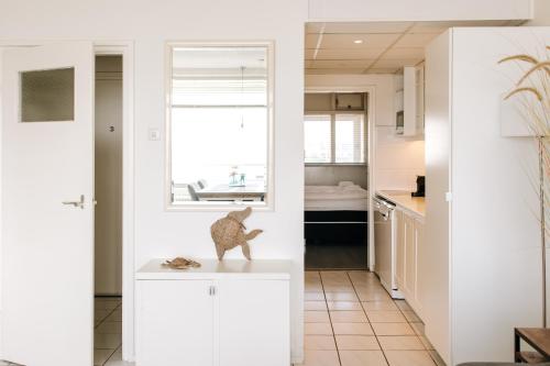 a kitchen with a cat statue sitting on a counter at Appartement Babette in Zandvoort