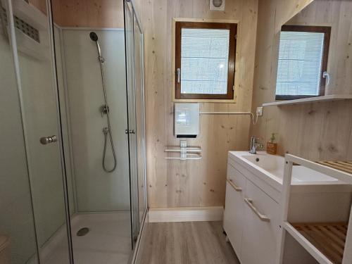 La salle de bains est pourvue d'une douche et d'un lavabo. dans l'établissement Lou coutiot, à Linxe