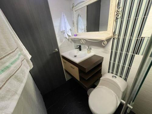 La salle de bains est pourvue de toilettes, d'un lavabo et d'un miroir. dans l'établissement Amplio apartamento en el centro!, à Pereira