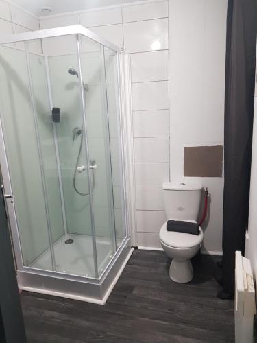 bagno con doccia e servizi igienici. di Appartement en entier a Saint-Junien