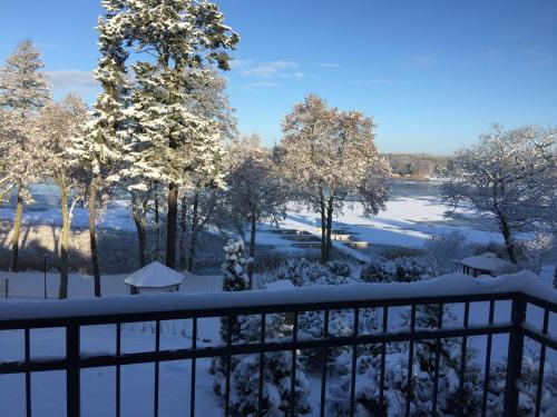 a snow covered yard with trees and a fence at Röblinseeterrassen in Fürstenberg-Havel