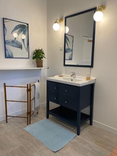 une salle de bain avec un lavabo et un miroir dans l'établissement Château Cornillon, à Arles