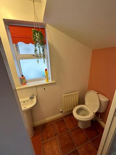 a bathroom with a toilet and a sink and a window at Mmc serviced accommodation 2 in Leigh
