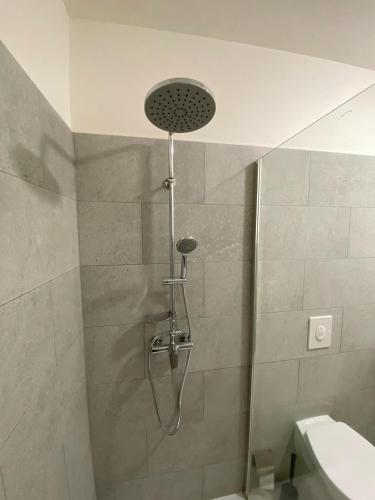 a shower with a shower head in a bathroom at Garsoniéra Ostrava City centr, Na Hradbách 118 in Ostrava
