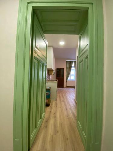 a hallway with green doors in a room at Garsoniéra Ostrava City centr, Na Hradbách 118 in Ostrava