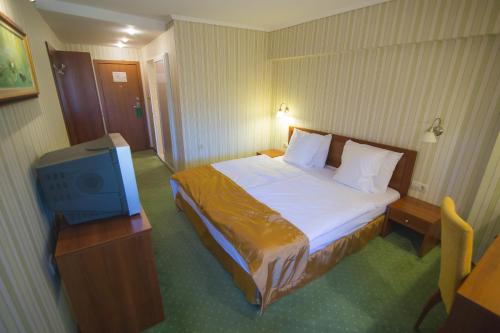 a hotel room with a bed and a television at Family hotel Borova Gora in Pirdop