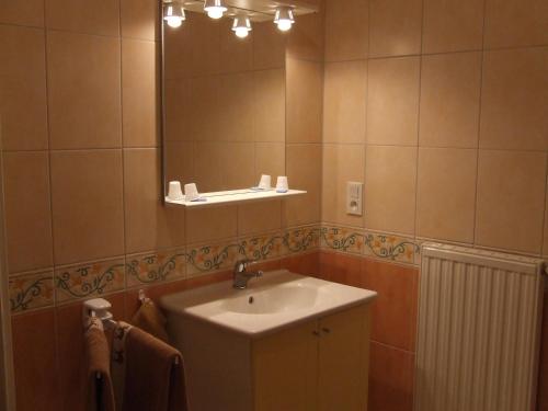 une salle de bain avec un lavabo et un miroir dans l'établissement Les Abris de la Sée, à Tirepied