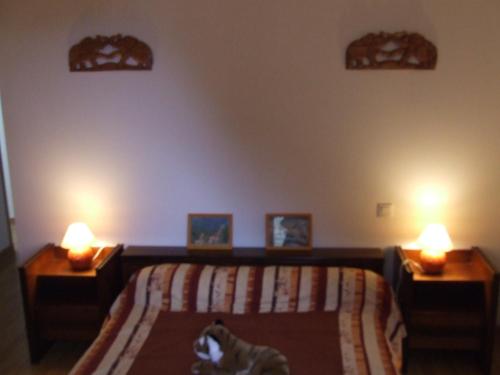 un perro acostado en una cama en un dormitorio con dos lámparas en Les Abris de la Sée, en Tirepied