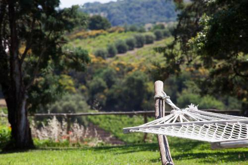 a white hammock sitting in the grass with a view at La Pergola in Diaccialone
