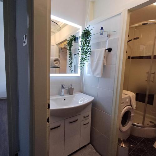 a bathroom with a sink and a washing machine at Apartman West Side in Zaprešić