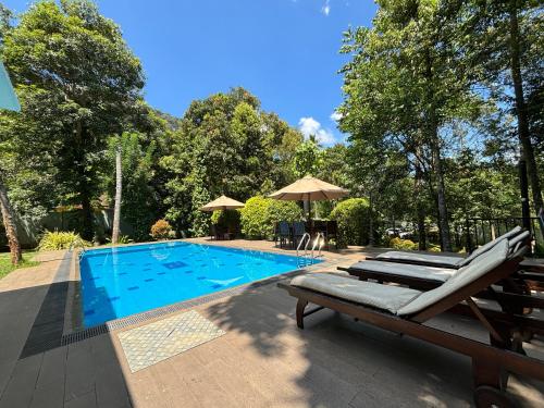 a swimming pool with lounge chairs and an umbrella at Serenity Villa Digana in Kandy