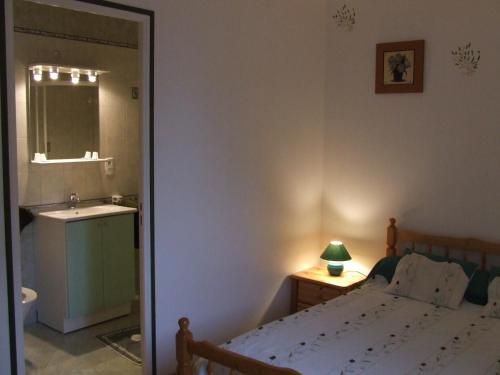1 dormitorio con cama, lavabo y espejo en Les abris de la See, en Tirepied