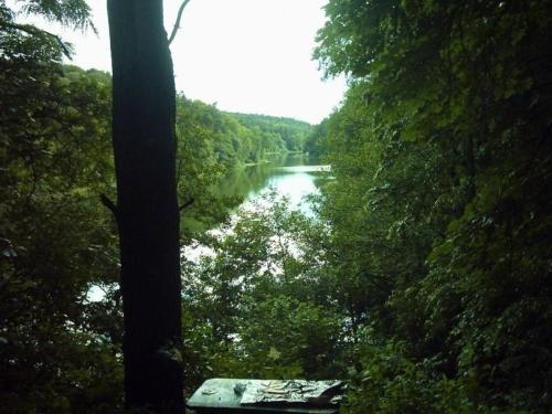 a view of a river through a forest of trees at Gästezimmer mit Garten in Werneuchen