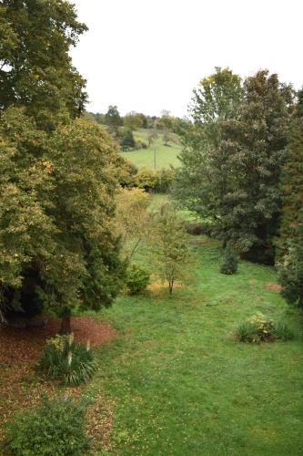 a grassy field with trees and bushes at Manoir des Pavements in Lisieux