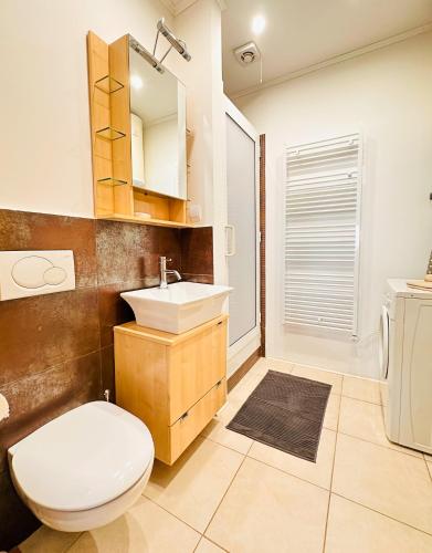 a bathroom with a white toilet and a sink at Studio apartman Gardenia in Opatija