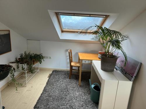 une chambre avec une table et une plante sur elle dans l'établissement Maison d'hôte Soisy, à Soisy-sur-Seine