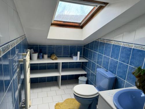 uma casa de banho em azulejos azuis com um WC e uma clarabóia em Maison d'hôte Soisy em Soisy-sur-Seine