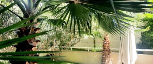 Gallery image of Villa Pearl in Nice