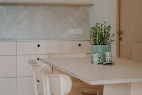 a kitchen with a table with a potted plant on it at Wanda Apartments in Parcines