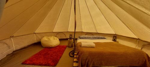 pokój z 2 łóżkami w namiocie w obiekcie Nature Retreat - Laurel Forest w mieście Seixal