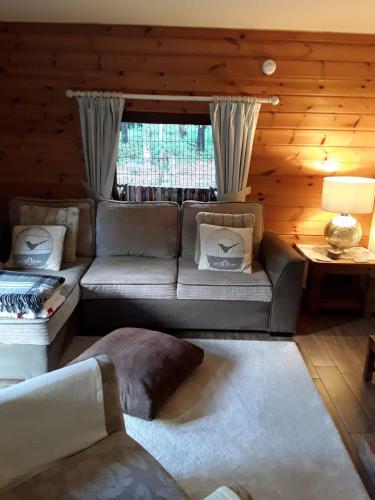 a living room with a couch and a window at Deerdale Lodge in Bilsthorpe