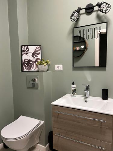 Un baño con lavabo, inodoro y espejo. en Becca Apartment 2, en Sînmartin
