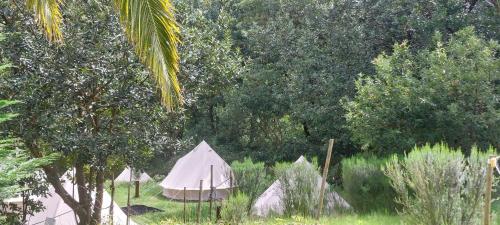 een groep tenten in een veld met bomen bij Nature Retreat - Laurel Forest in Seixal