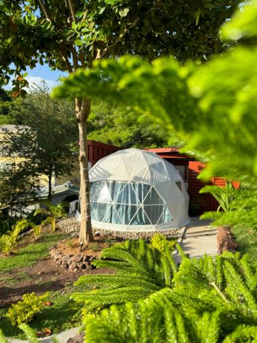 zelt für multivan t5 Heckzelt Sandcrest L Busvorzelt Camping Z Der Raum zwischen den Snugpak Tactical 4 Schlafsack Gartenbauten & Sonnenschutz Size:260 x 210 cm