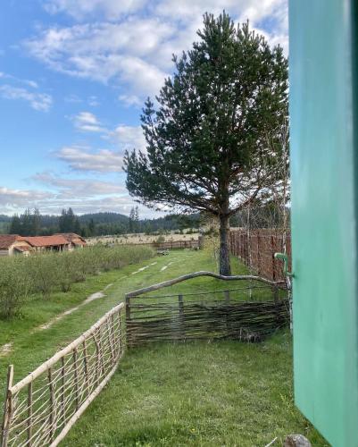 a wooden fence with a tree in a field at Cottages of Nišići in Sarajevo