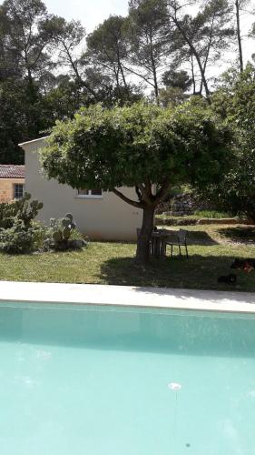 un arbre et une table sous un arbre à côté d'une maison dans l'établissement Chez Nathalie, au Luc