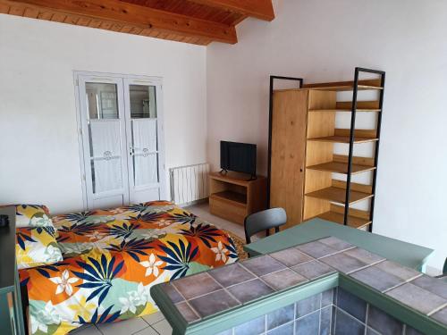 une chambre avec un lit et une télévision dans l'établissement Large studio close to the beach, à Saint-Martin-de-Ré