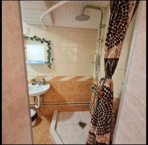 ein Bad mit einer Dusche und einem Waschbecken in der Unterkunft Apartmani 2 SS Ohrid in Ohrid