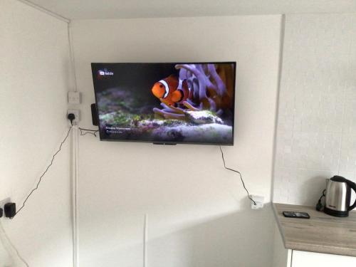 TV de pantalla plana colgada en la pared en Exclusive Lakeside Apartment, en Grays