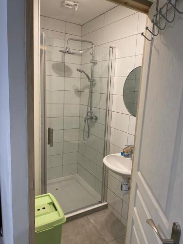 bagno con doccia e lavandino di Loue studio meublée les Abrets en Dauphiné 38 a Les Abrets