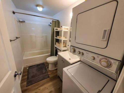 ein kleines Bad mit einem WC und einer Dusche in der Unterkunft Updated Douglas Apartment, Near Downtown and Skiing in Juneau