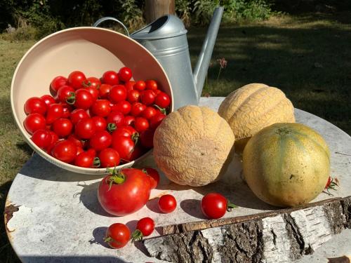 un montón de frutas y verduras en una mesa en Au Cœur des Acacias, en Lauzun
