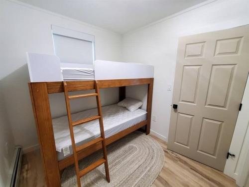 a room with a bunk bed with a ladder at Updated Douglas Apartment, Close to Sandy Beach in Juneau