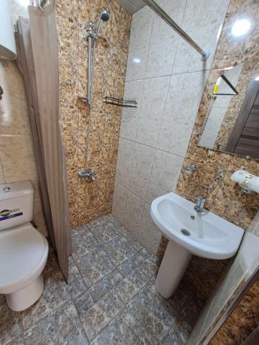 a bathroom with a shower and a toilet and a sink at Hasmik house in Areni