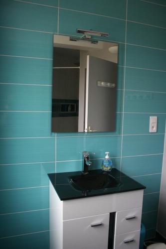 une salle de bain avec un lavabo noir et un miroir dans l'établissement Andraud, à Issendolus