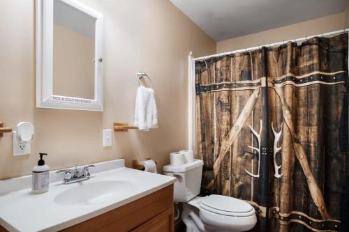 a bathroom with a sink and a toilet and a shower curtain at Hot Tub, River&Kayak, WiFi, & Fire Pit at Cabin! in Morton Grove