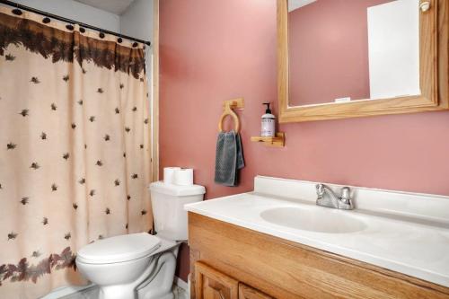 a bathroom with a toilet and a sink and a mirror at Cabin w New Hot Tub, River, Kayak, WiFi, & Fire Pit in Morton Grove