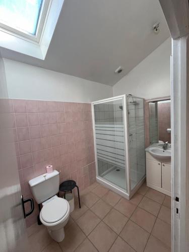 une salle de bain avec toilettes, douche et lavabo dans l'établissement Hôtel Restaurant Douce France, à Saint Alban Auriolles