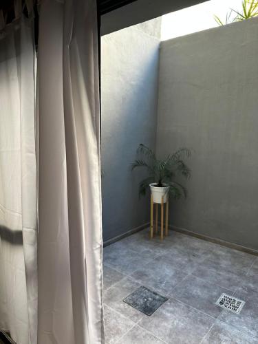um quarto com um vaso de plantas e uma janela em DOCTA RESIDENCIA em Córdoba